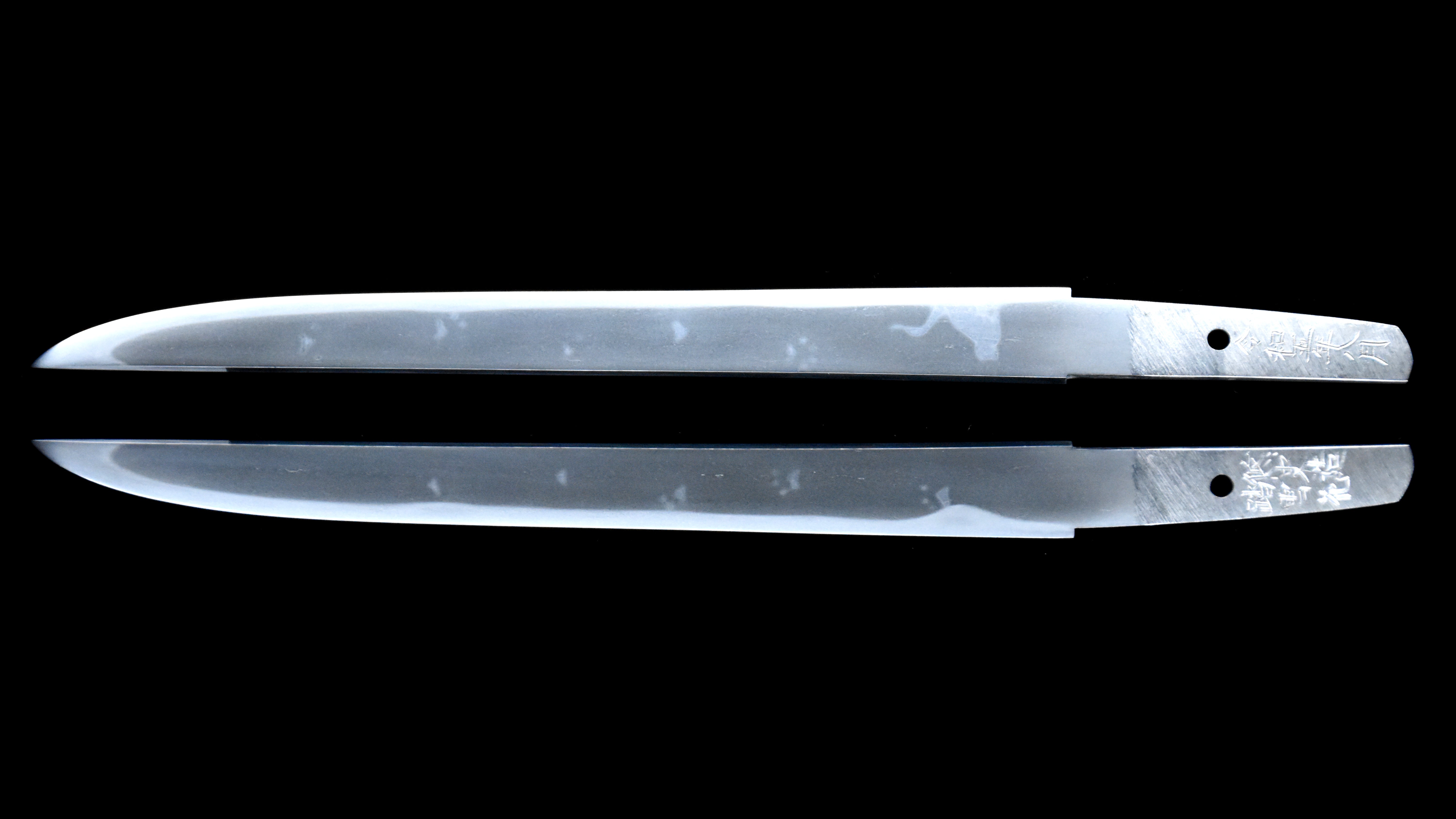 2023 08 08 猫 1 背合わせ